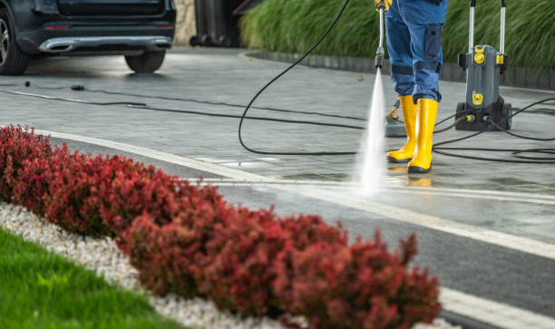 Trusted Buckhorn, CA Pressure Washing Experts