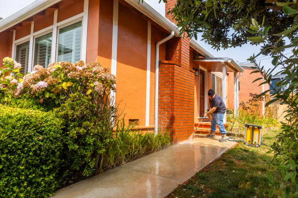 Best Deck Cleaning Services  in Buckhorn, CA